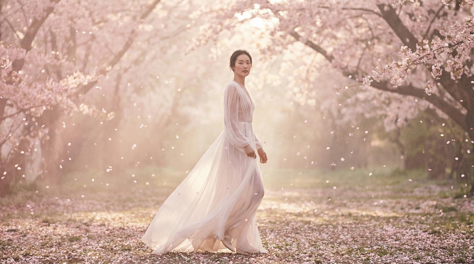 福利导航樱花季唯美视频